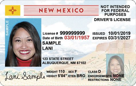 Real ID/Drivers License/Identification Cards